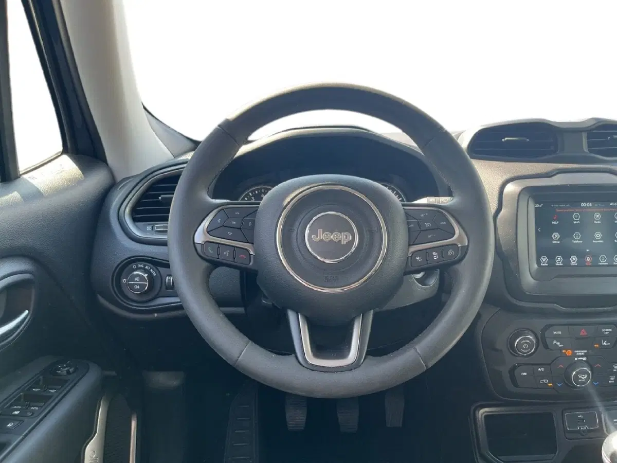 Jeep Renegade usata a Torino (10)