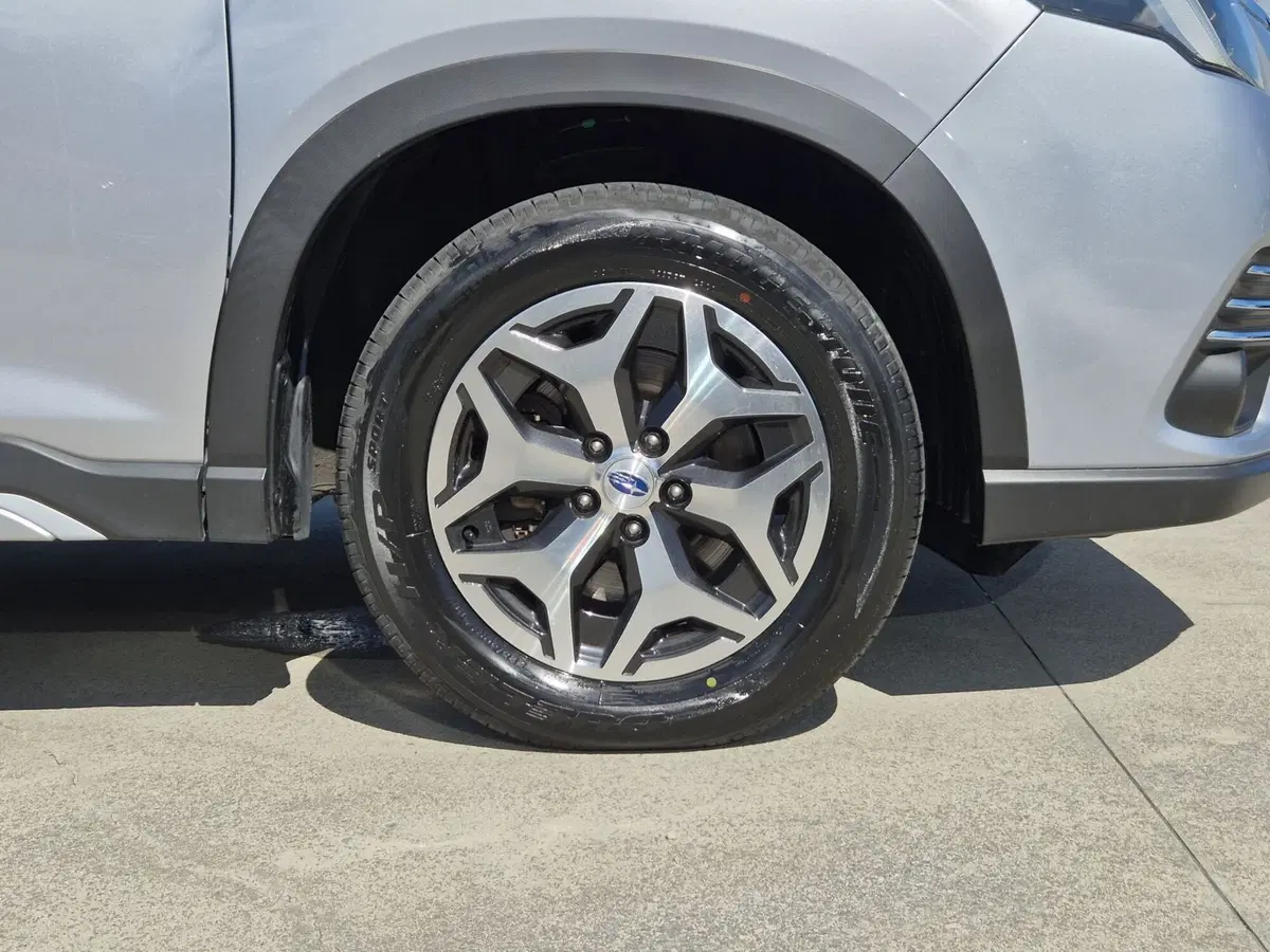 Subaru Forester usata  (12)