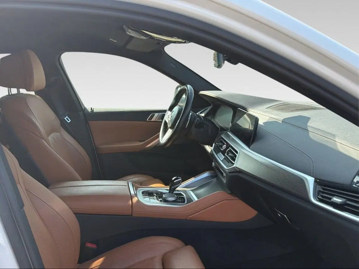 BMW X6 usata a Grosseto (12)