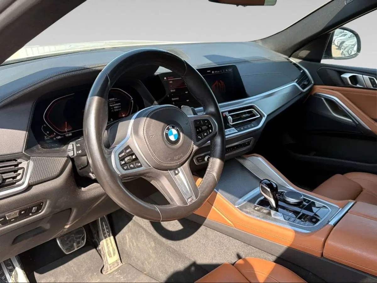 BMW X6 usata a Grosseto (15)