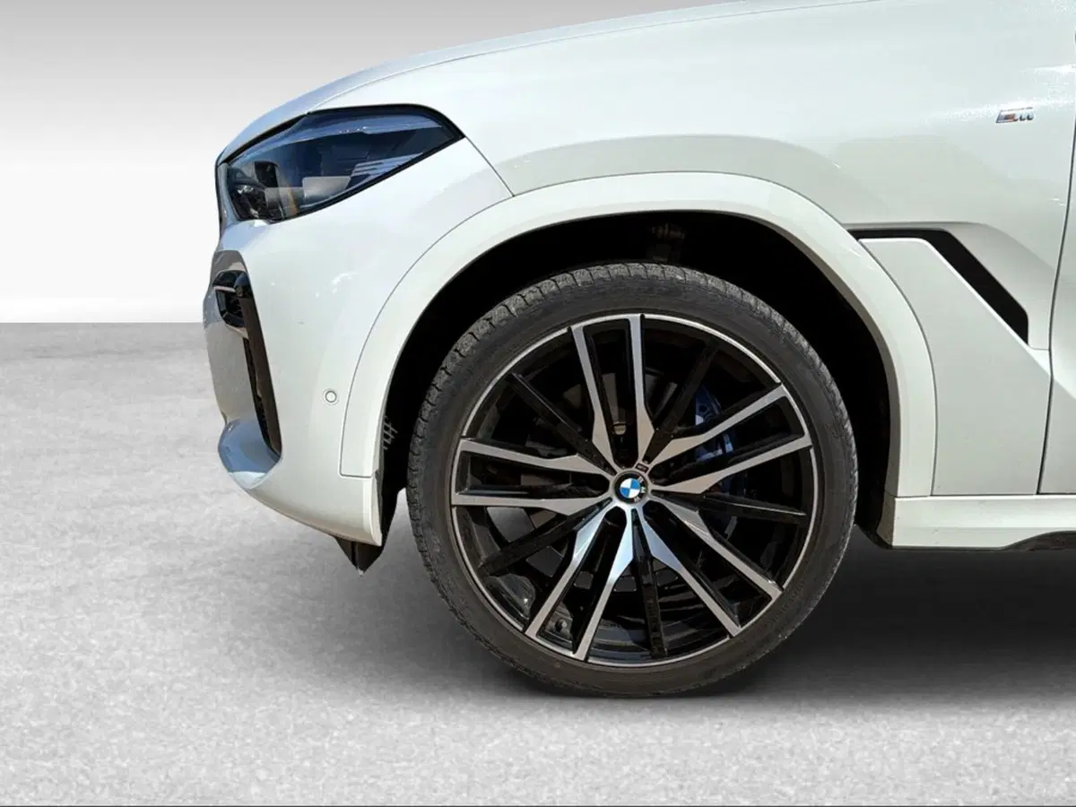 BMW X6 usata a Grosseto (17)