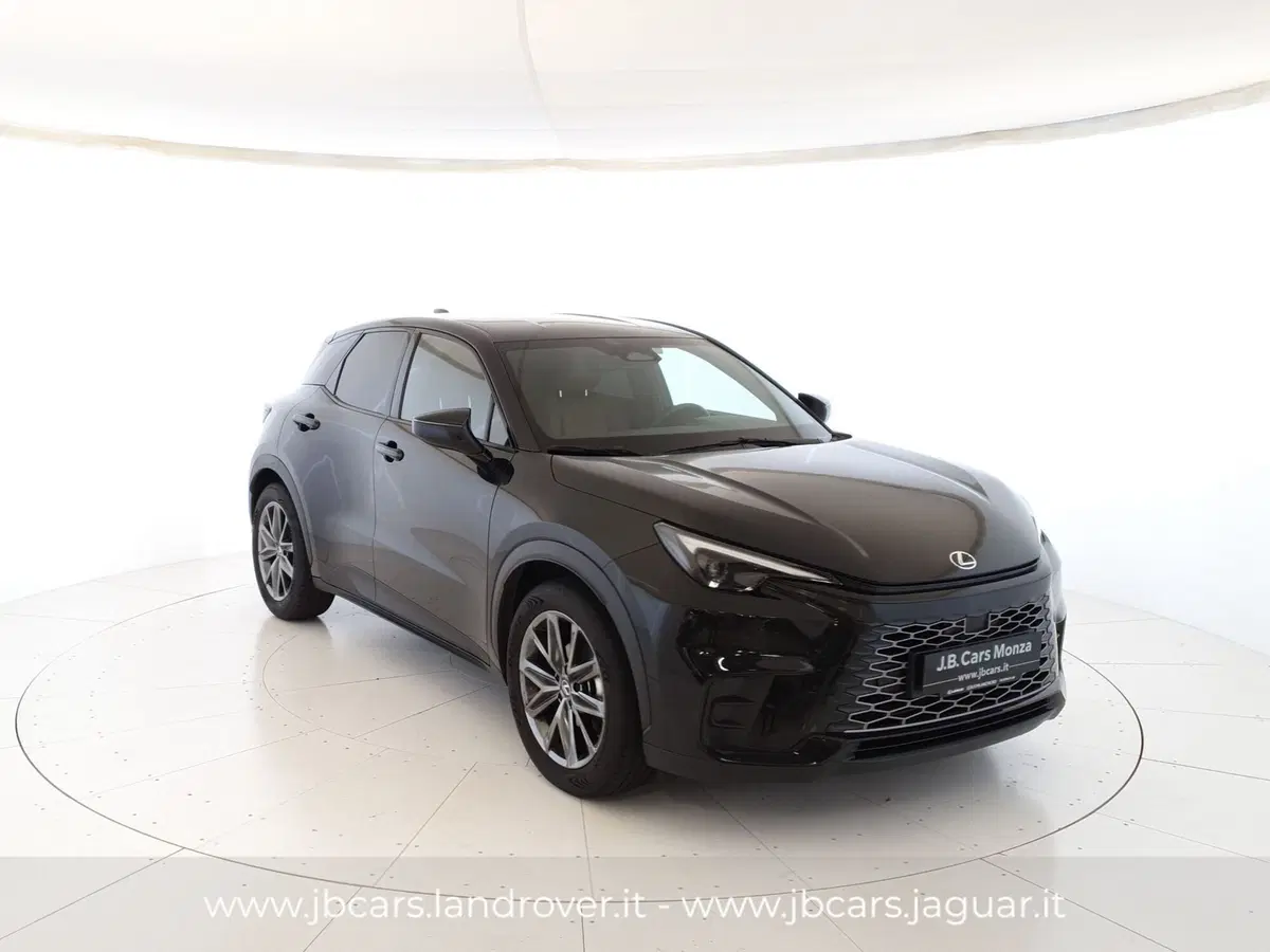 Lexus LBX usata a Monza e Brianza (17)