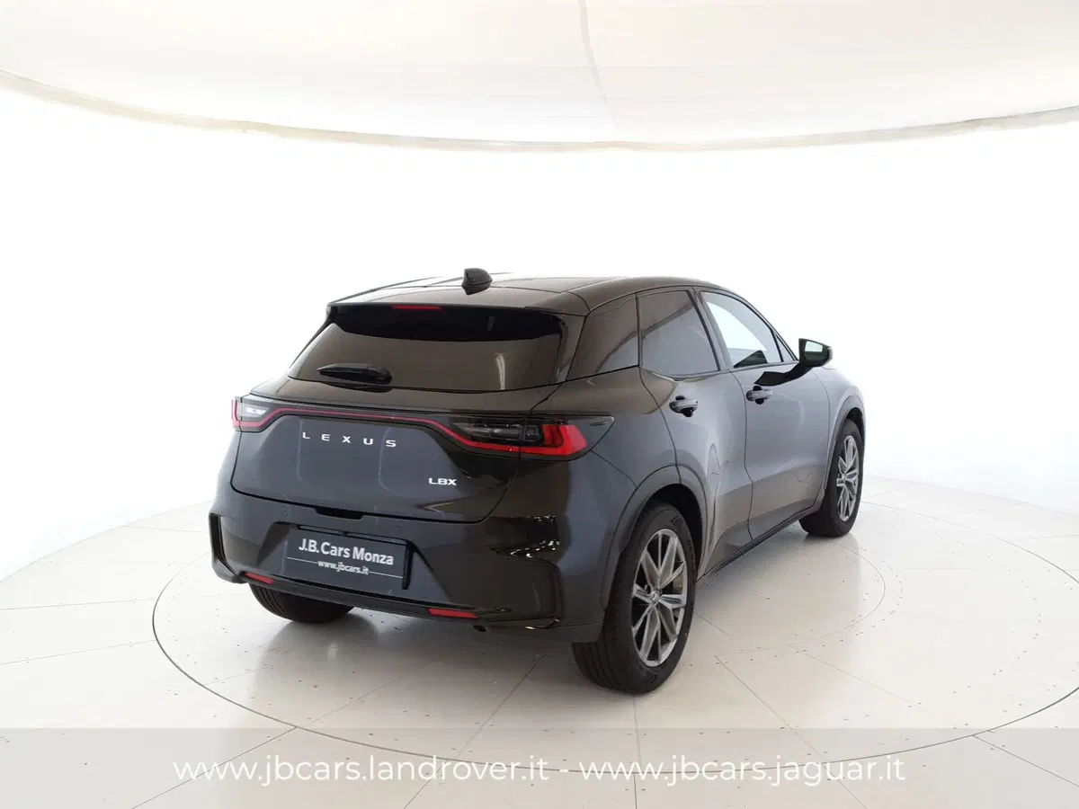 Lexus LBX usata a Monza e Brianza (2)