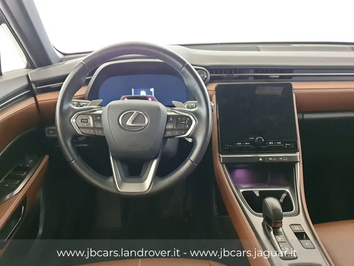 Lexus LBX usata a Monza e Brianza (18)