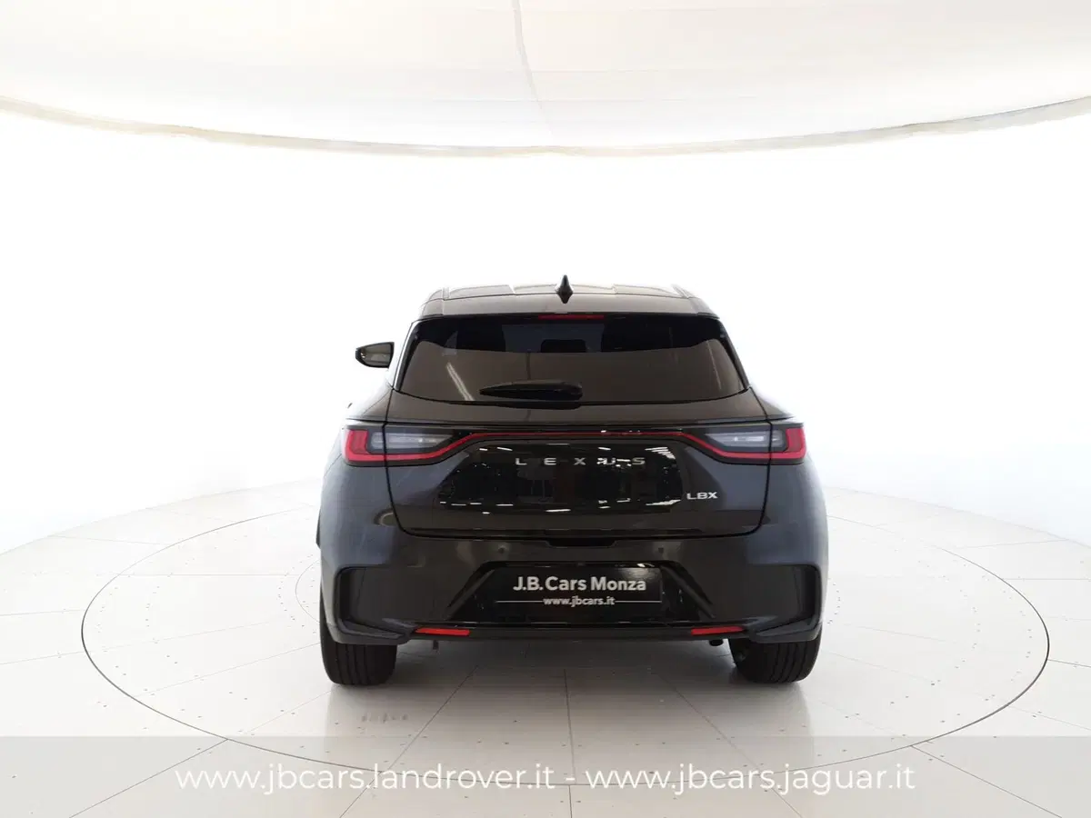 Lexus LBX usata a Monza e Brianza (7)