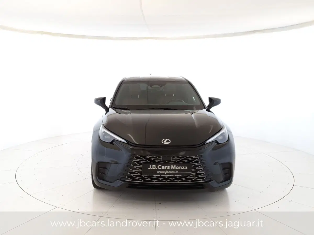 Lexus LBX usata a Monza e Brianza (8)