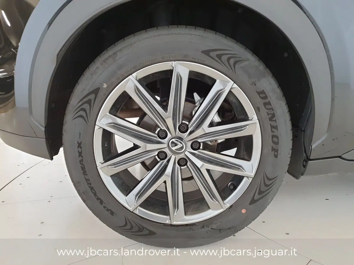 Lexus LBX usata a Monza e Brianza (9)