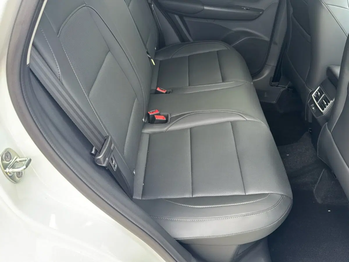 Mg ZS nuova a Ferrara (8)