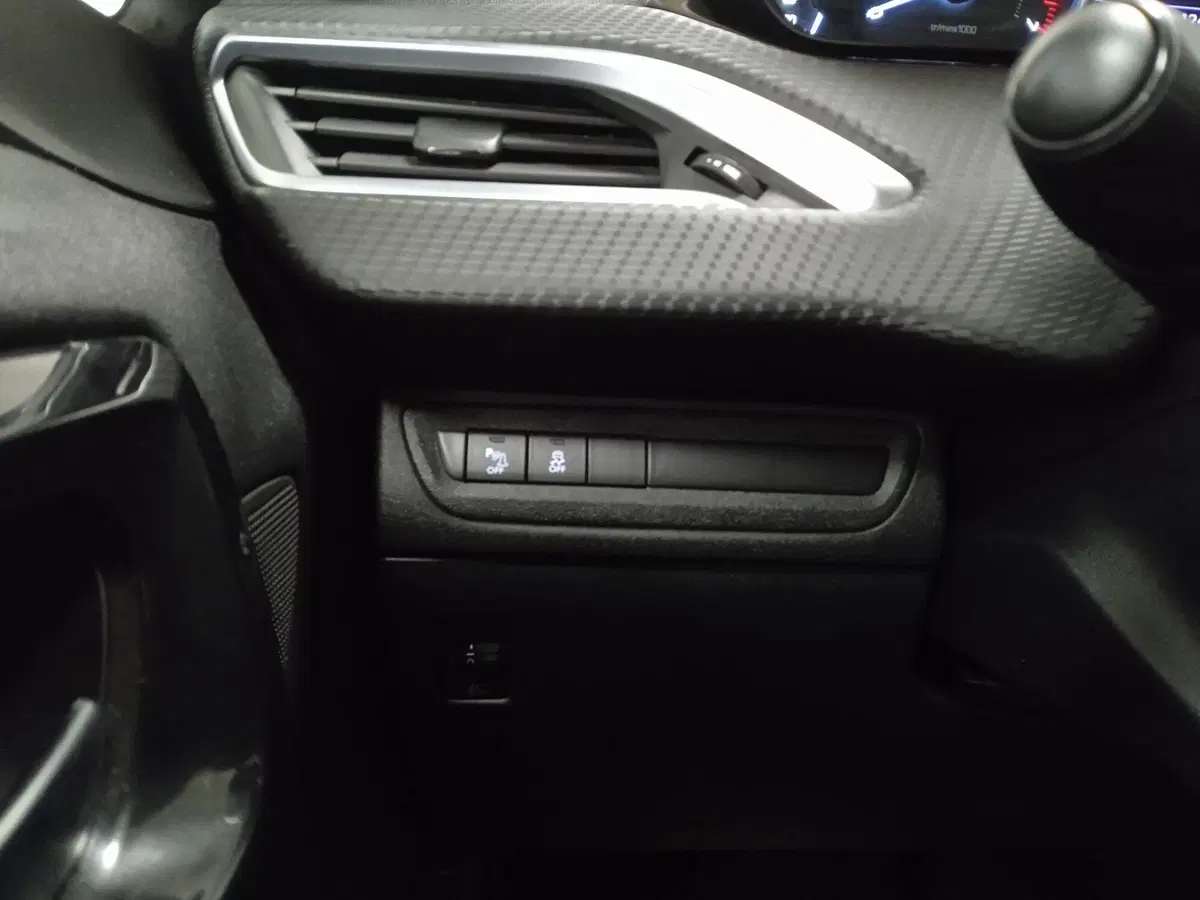 Peugeot 208 usata a Torino (13)