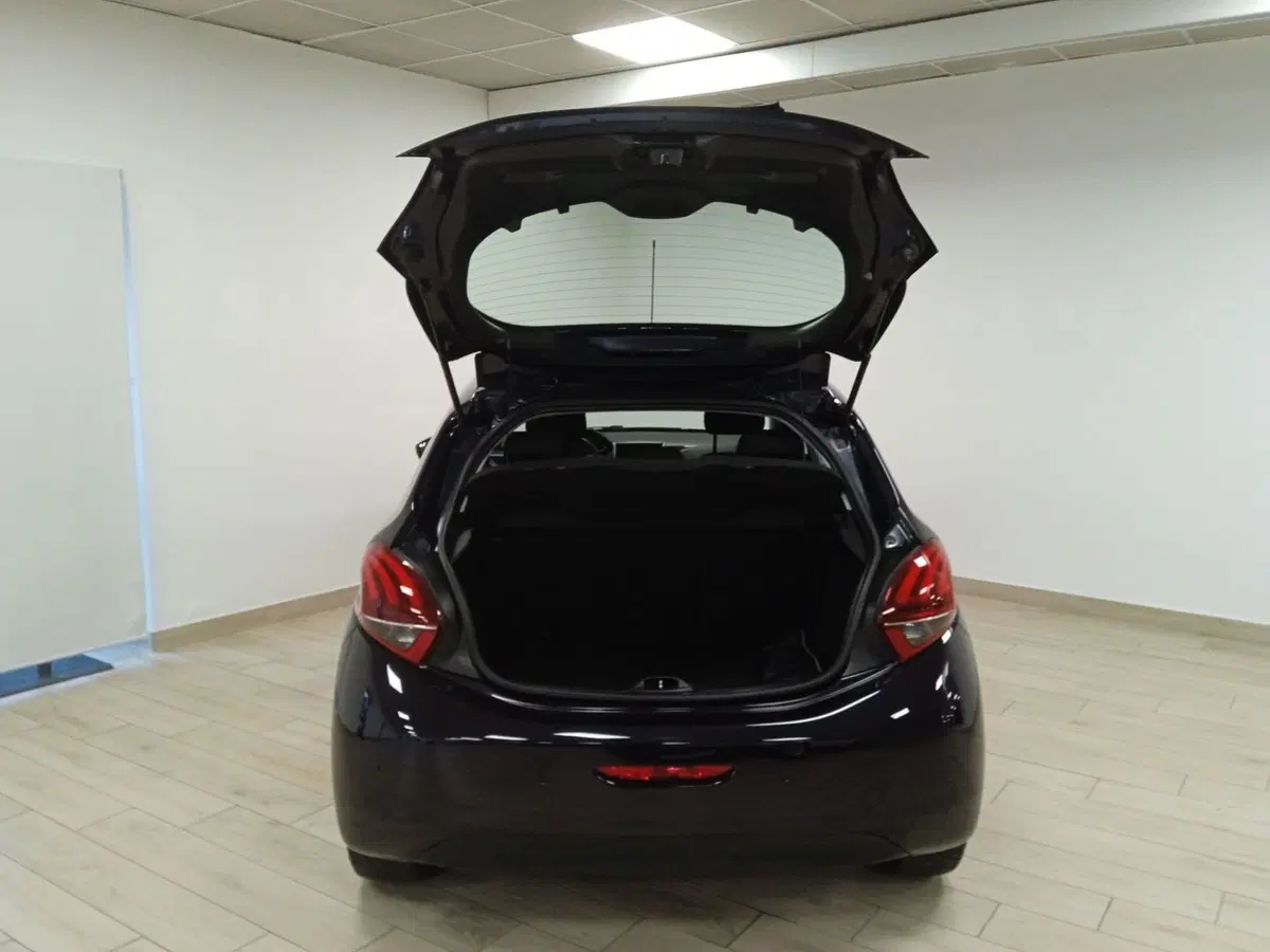 Peugeot 208 usata a Torino (8)