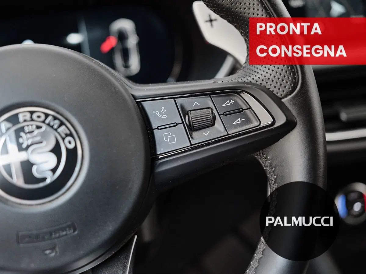 Alfa Romeo Stelvio usata a Prato (12)