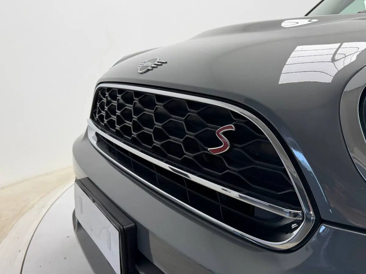 MINI Mini Countryman usata a Avellino (11)