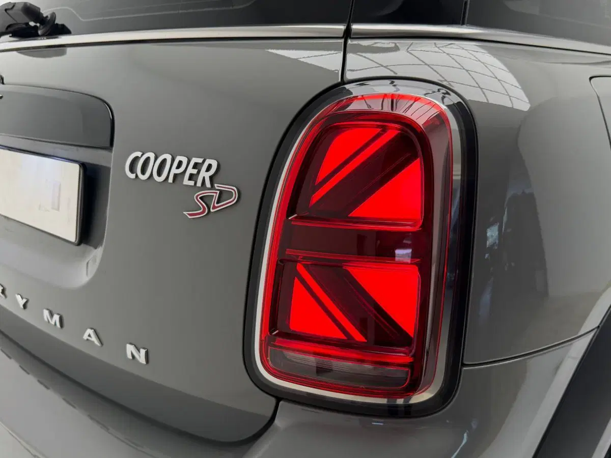 MINI Mini Countryman usata a Avellino (18)