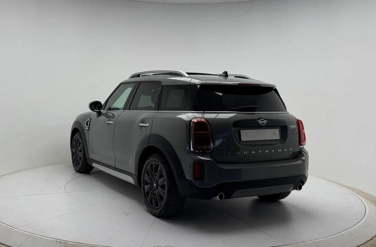 MINI Mini Countryman usata a Avellino (5)