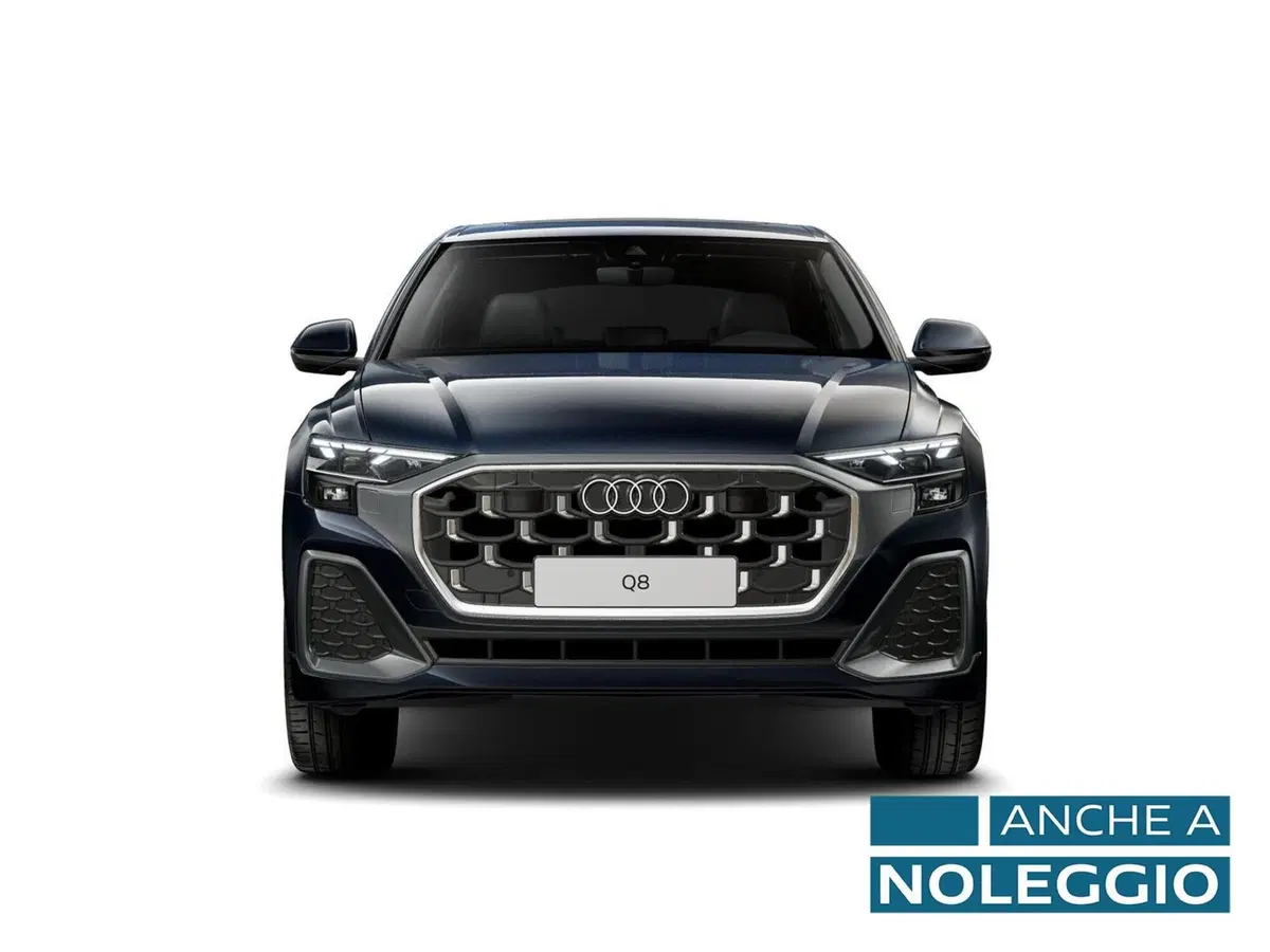 Audi Q8 usata a Alessandria (3)