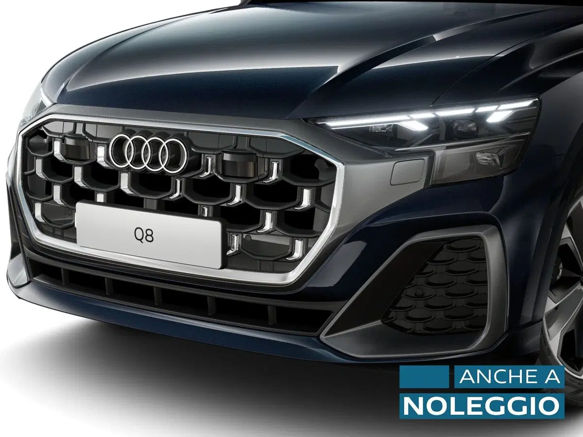Audi Q8 usata a Alessandria (7)