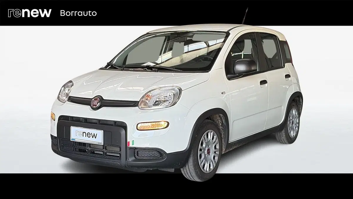 Fiat Panda usata a Treviso