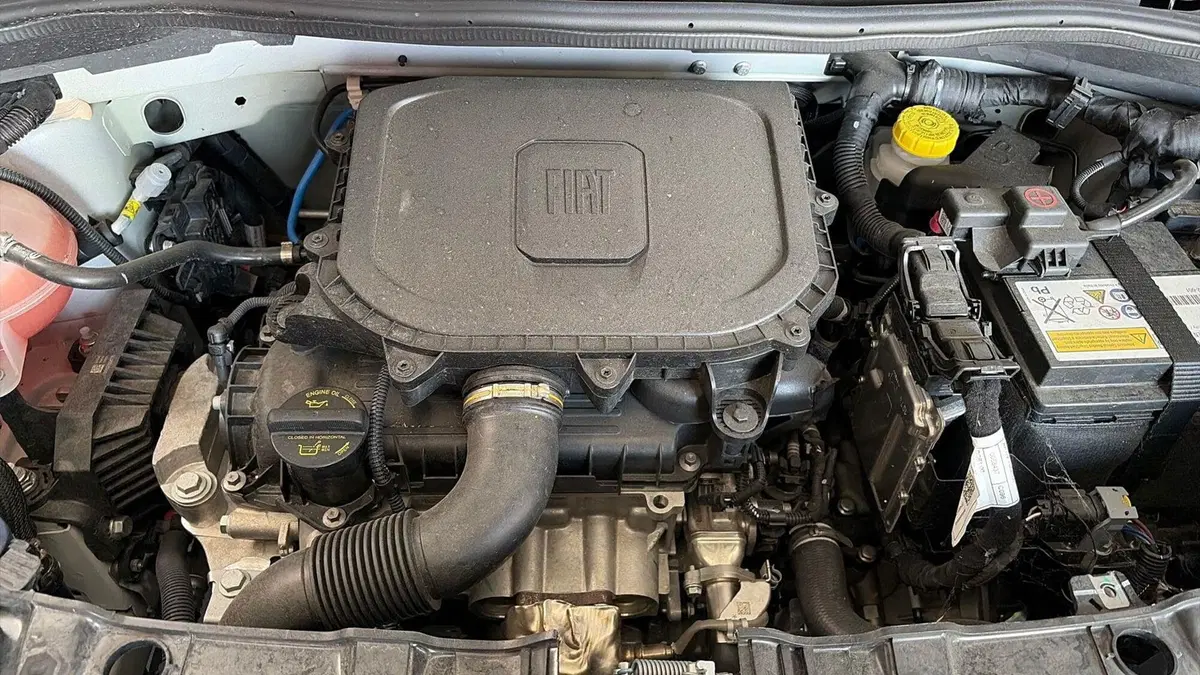 Fiat Panda usata a Treviso (15)