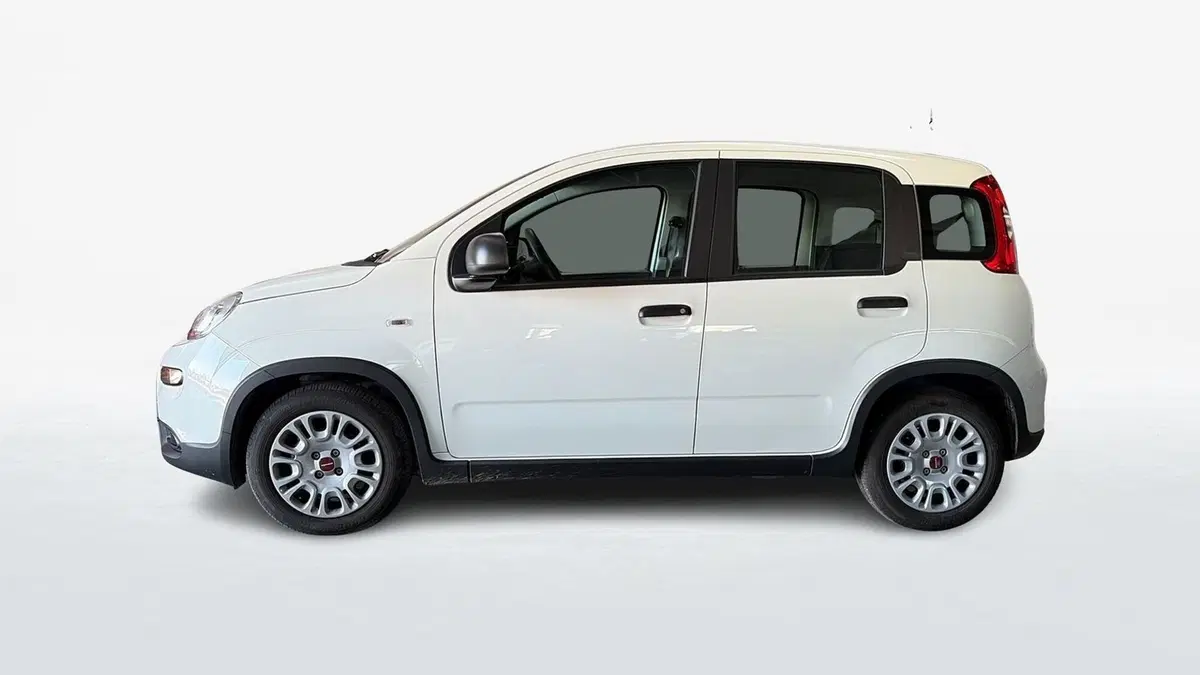 Fiat Panda usata a Treviso (3)