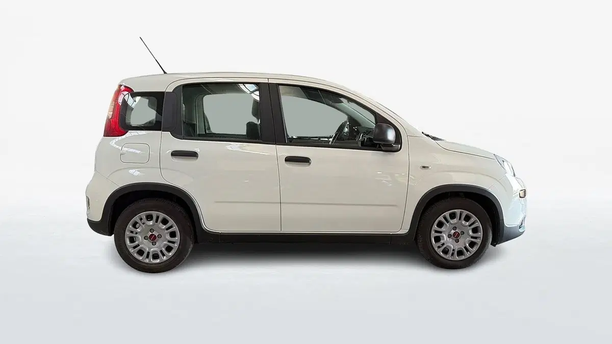 Fiat Panda usata a Treviso (4)