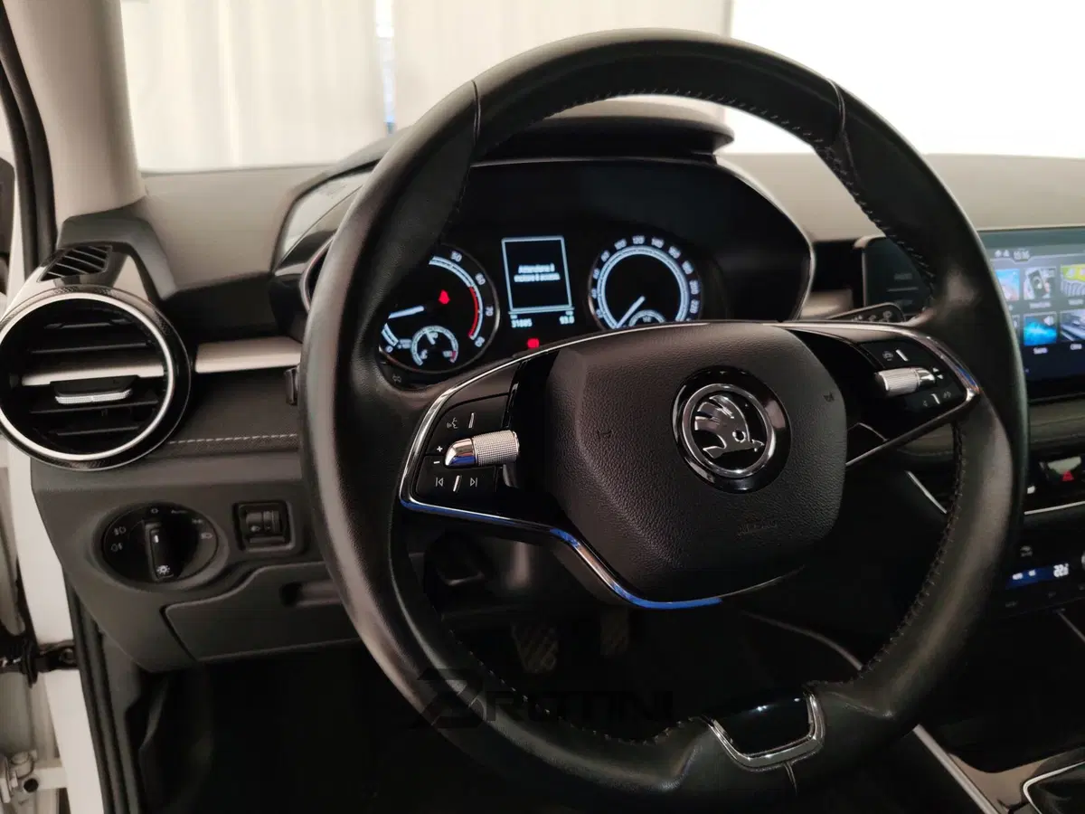Skoda Fabia usata a Massa-Carrara (14)