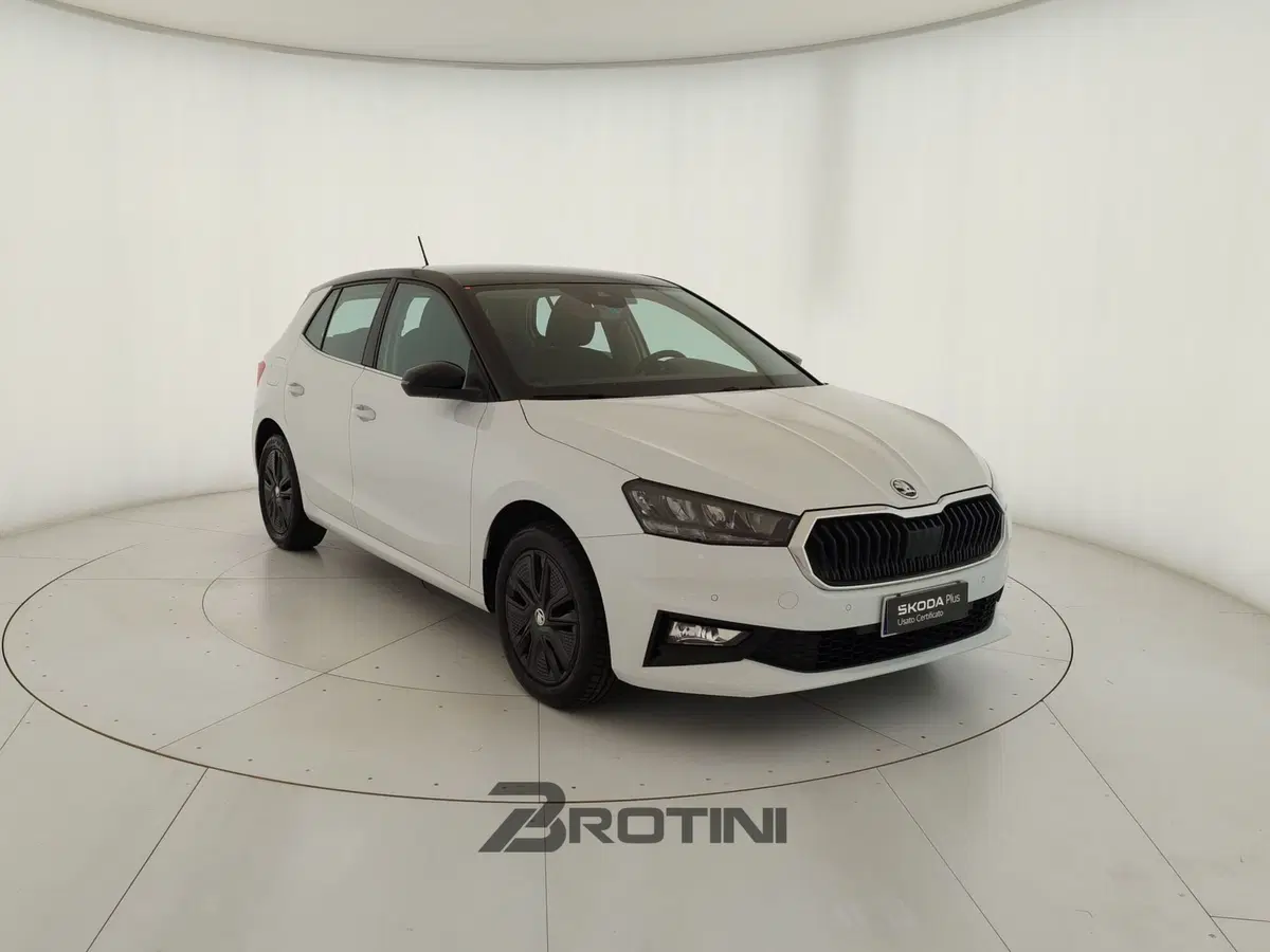 Skoda Fabia usata a Massa-Carrara (4)