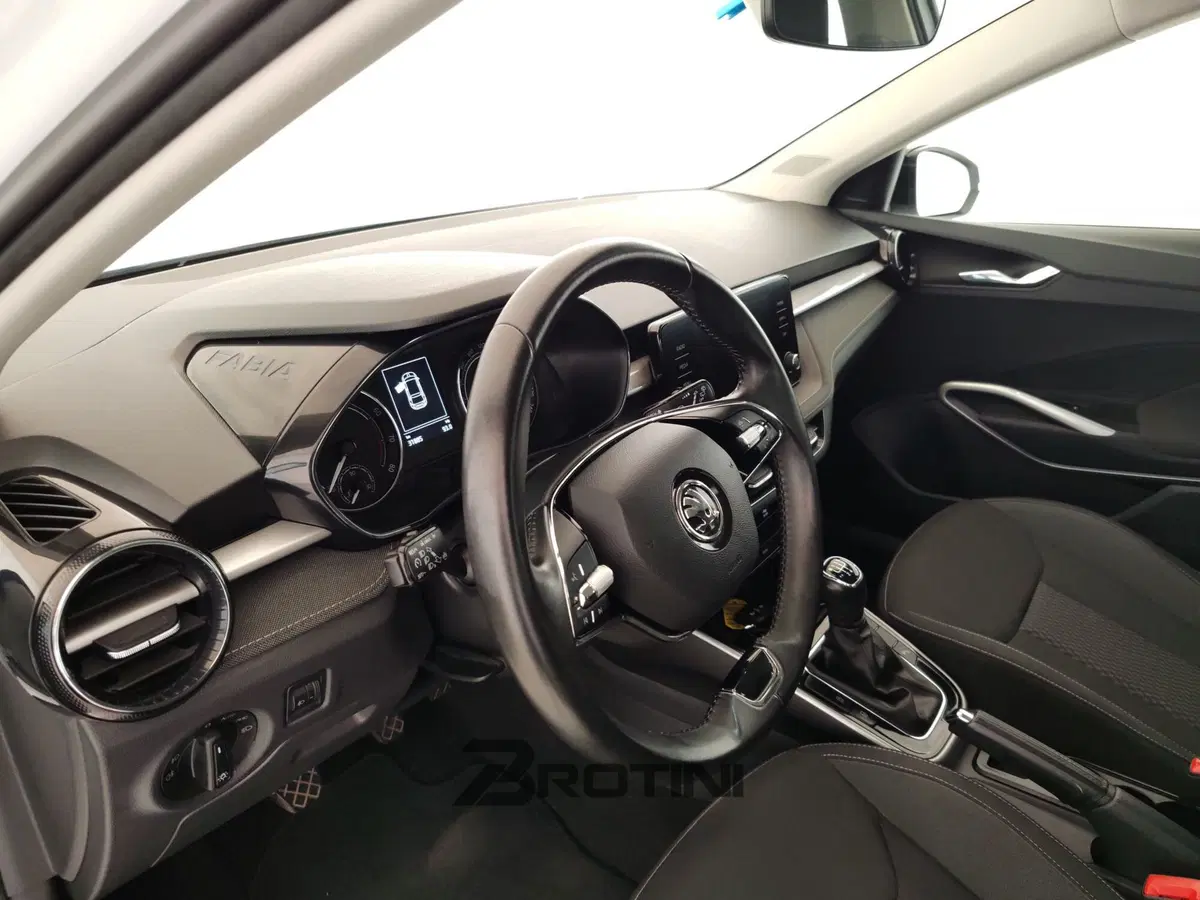 Skoda Fabia usata a Massa-Carrara (8)
