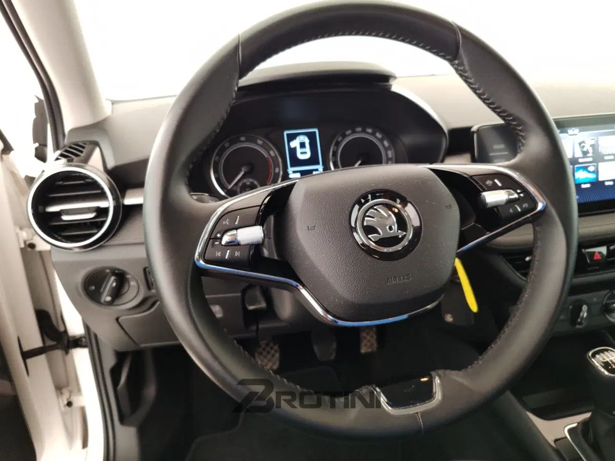 Skoda Fabia usata a Massa-Carrara (14)