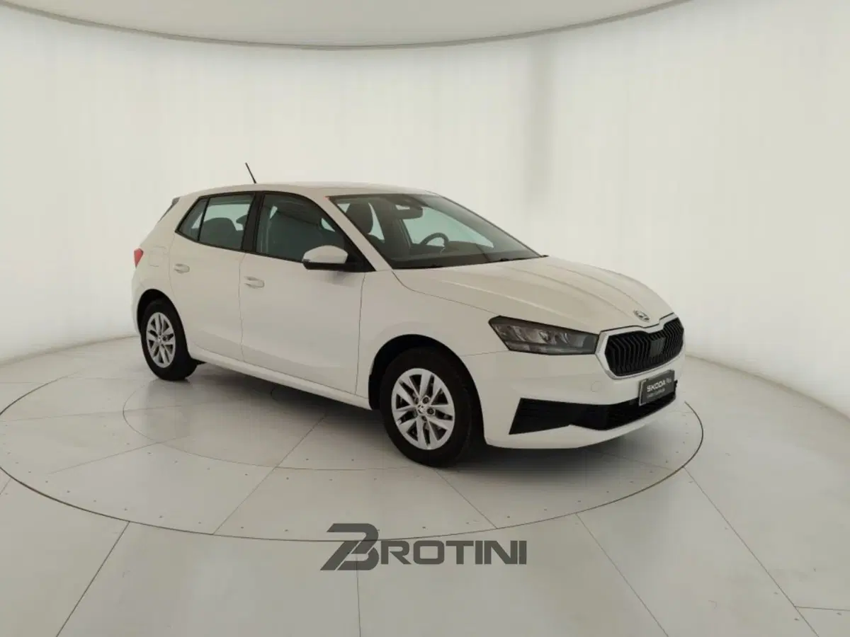 Skoda Fabia usata a Massa-Carrara (4)