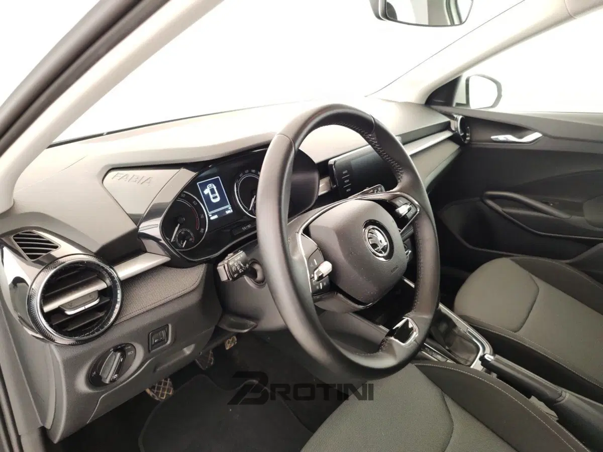 Skoda Fabia usata a Massa-Carrara (8)