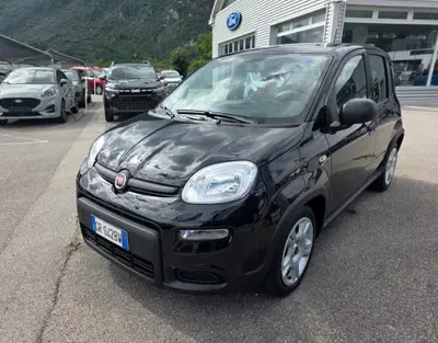 Fiat Panda 1.0 firefly hybrid s&amp;s 70cv 5p.ti del 2023 usata a Ponte nelle Alpi