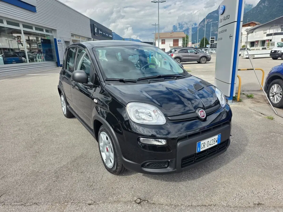 Fiat Panda usata a Belluno (2)