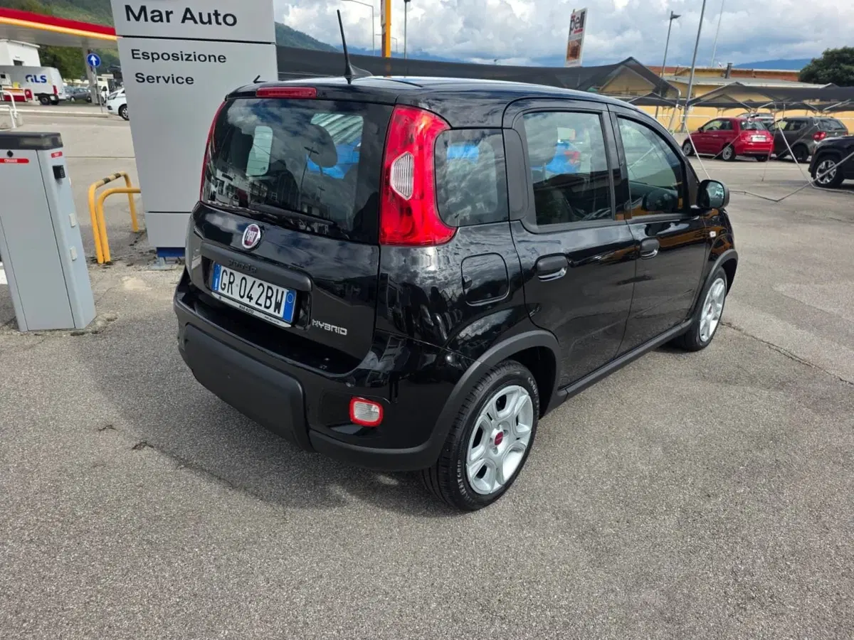 Fiat Panda usata a Belluno (3)