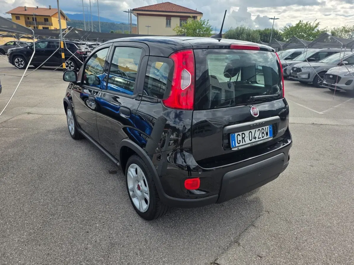 Fiat Panda usata a Belluno (4)