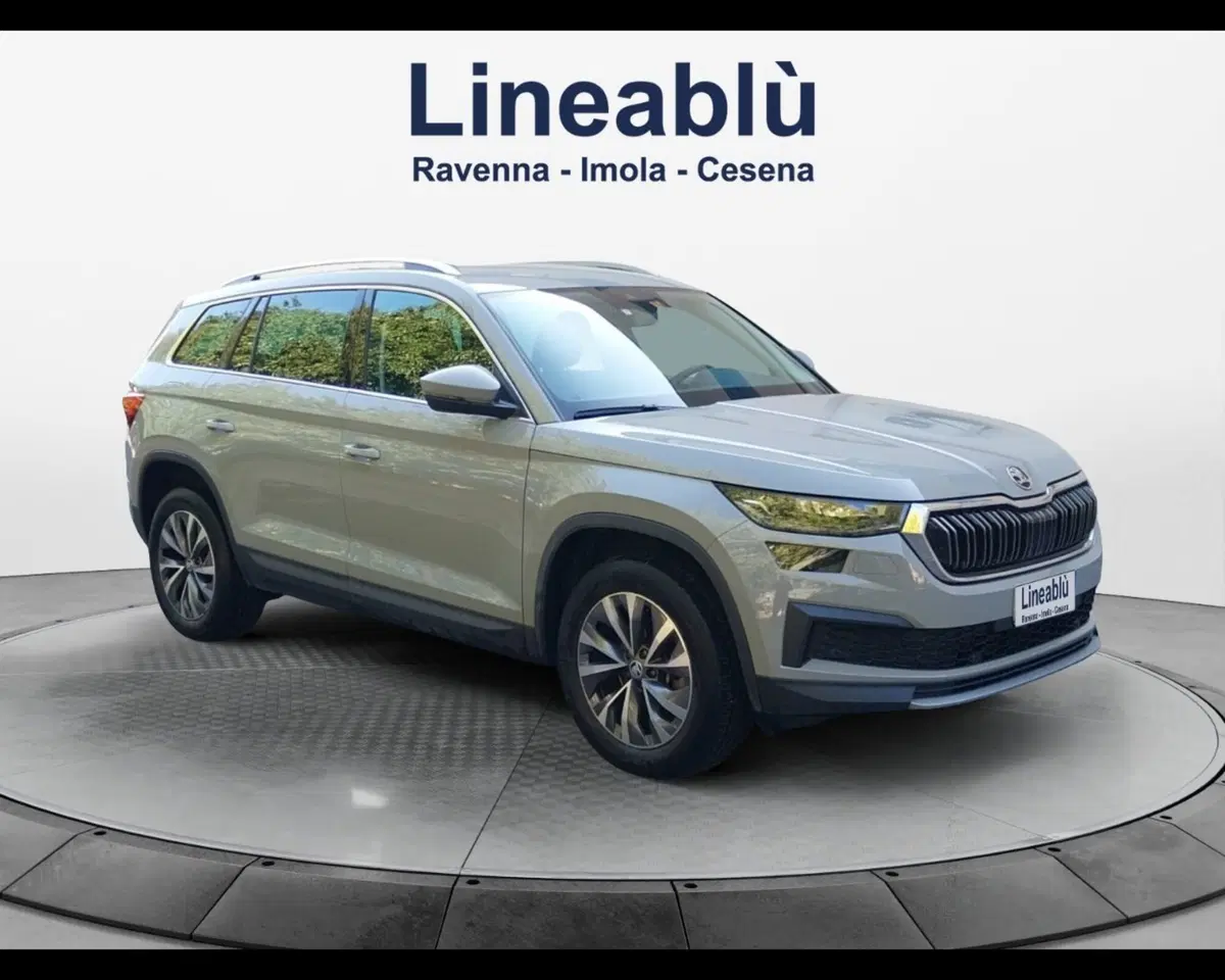 Skoda Kodiaq usata a Forlì-Cesena (7)