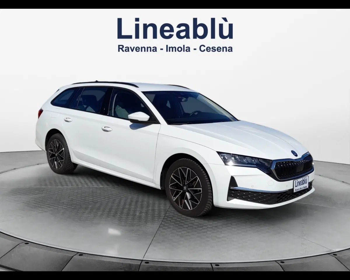 Skoda Octavia Station Wagon usata a Ravenna (8)