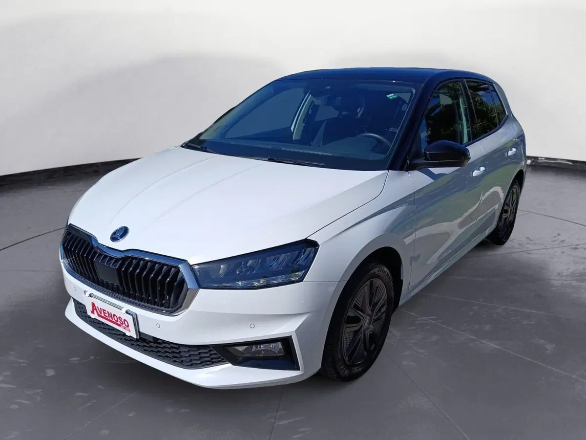 Skoda Fabia usata a Catanzaro