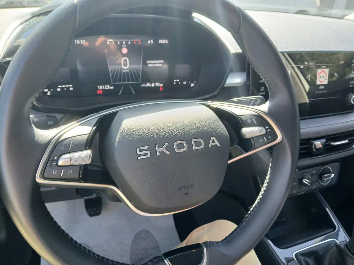 Skoda Fabia usata a Catanzaro (10)