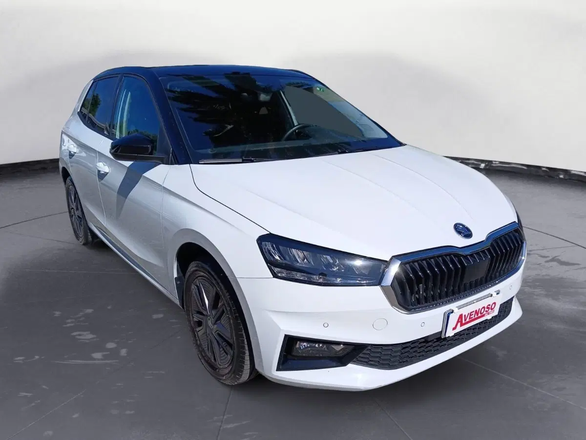 Skoda Fabia usata a Catanzaro (2)