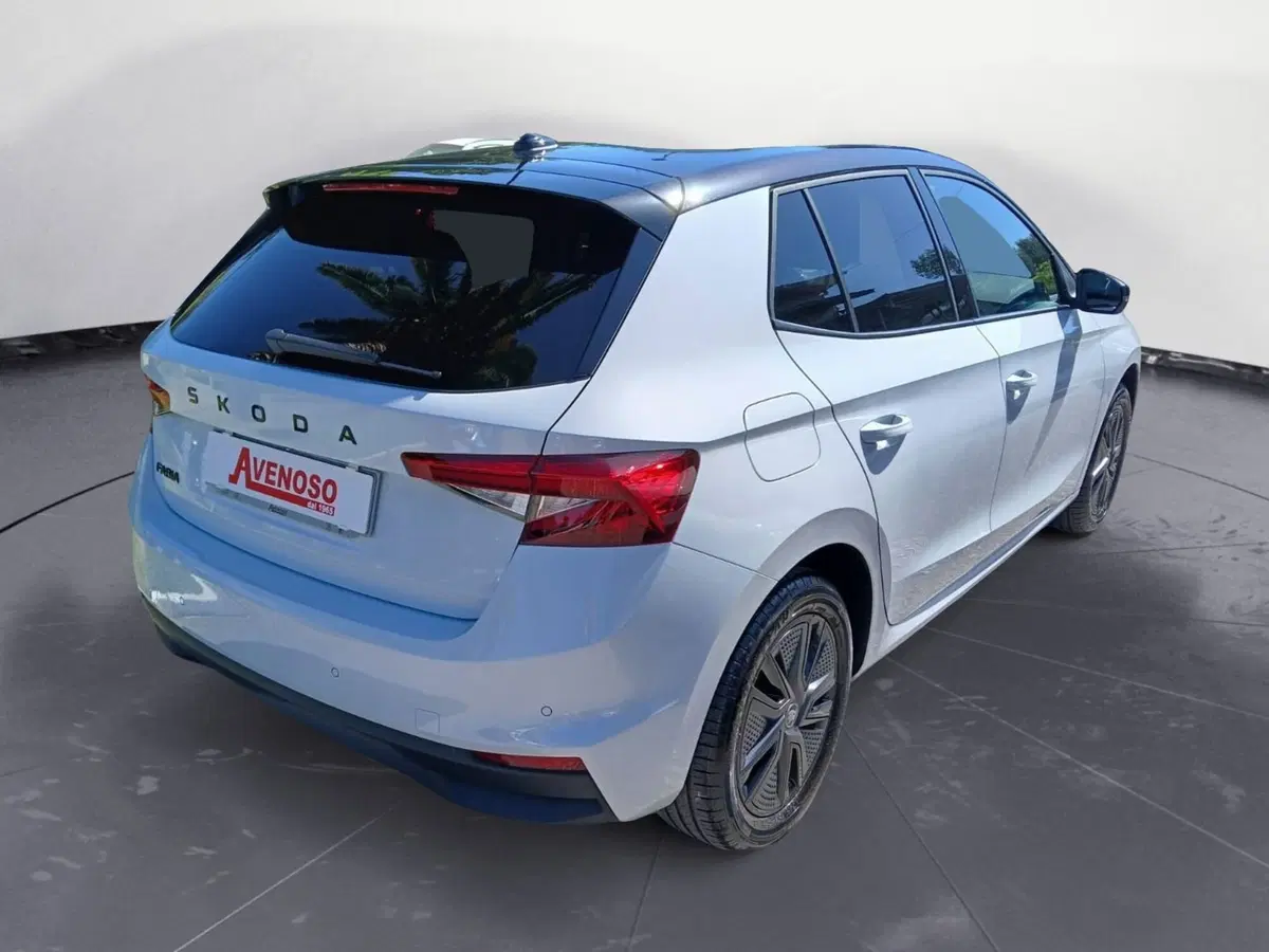 Skoda Fabia usata a Catanzaro (3)