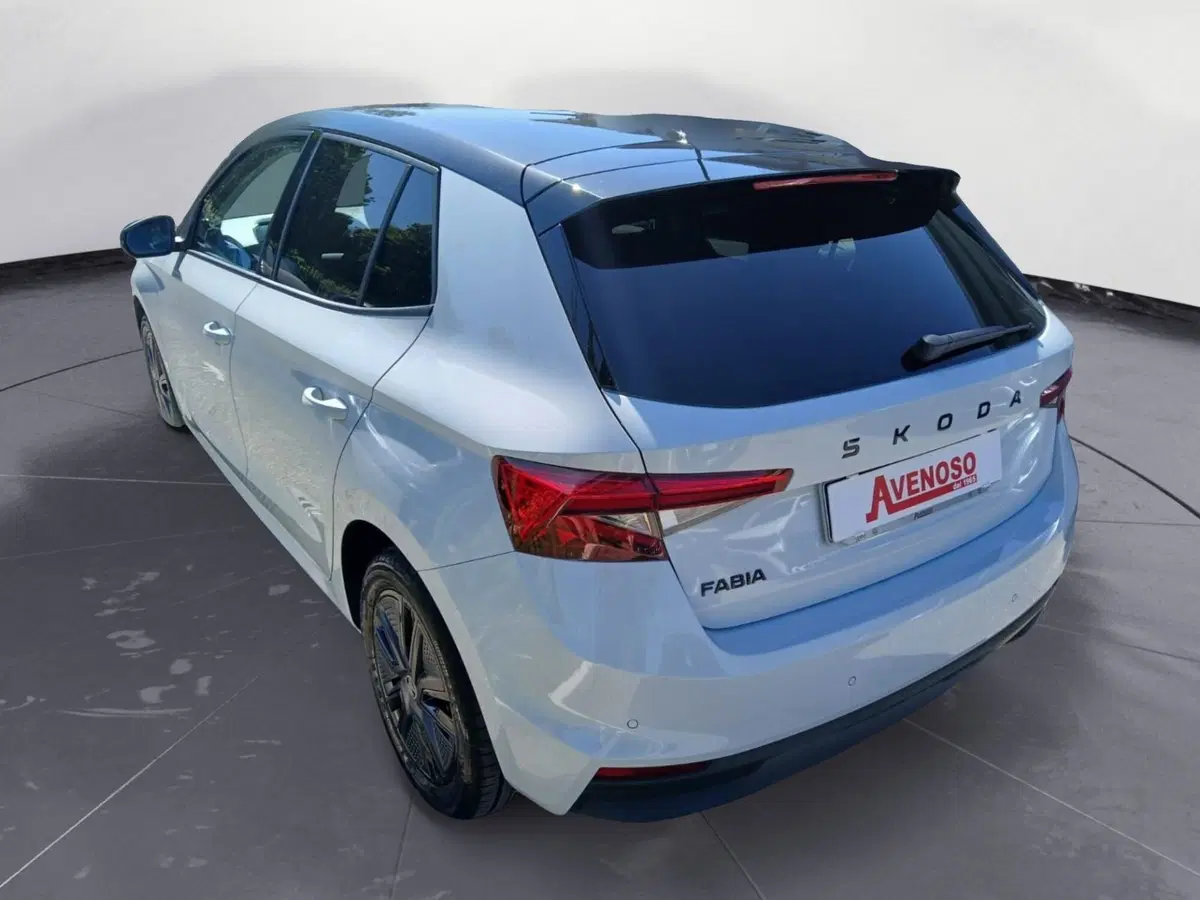 Skoda Fabia usata a Catanzaro (4)