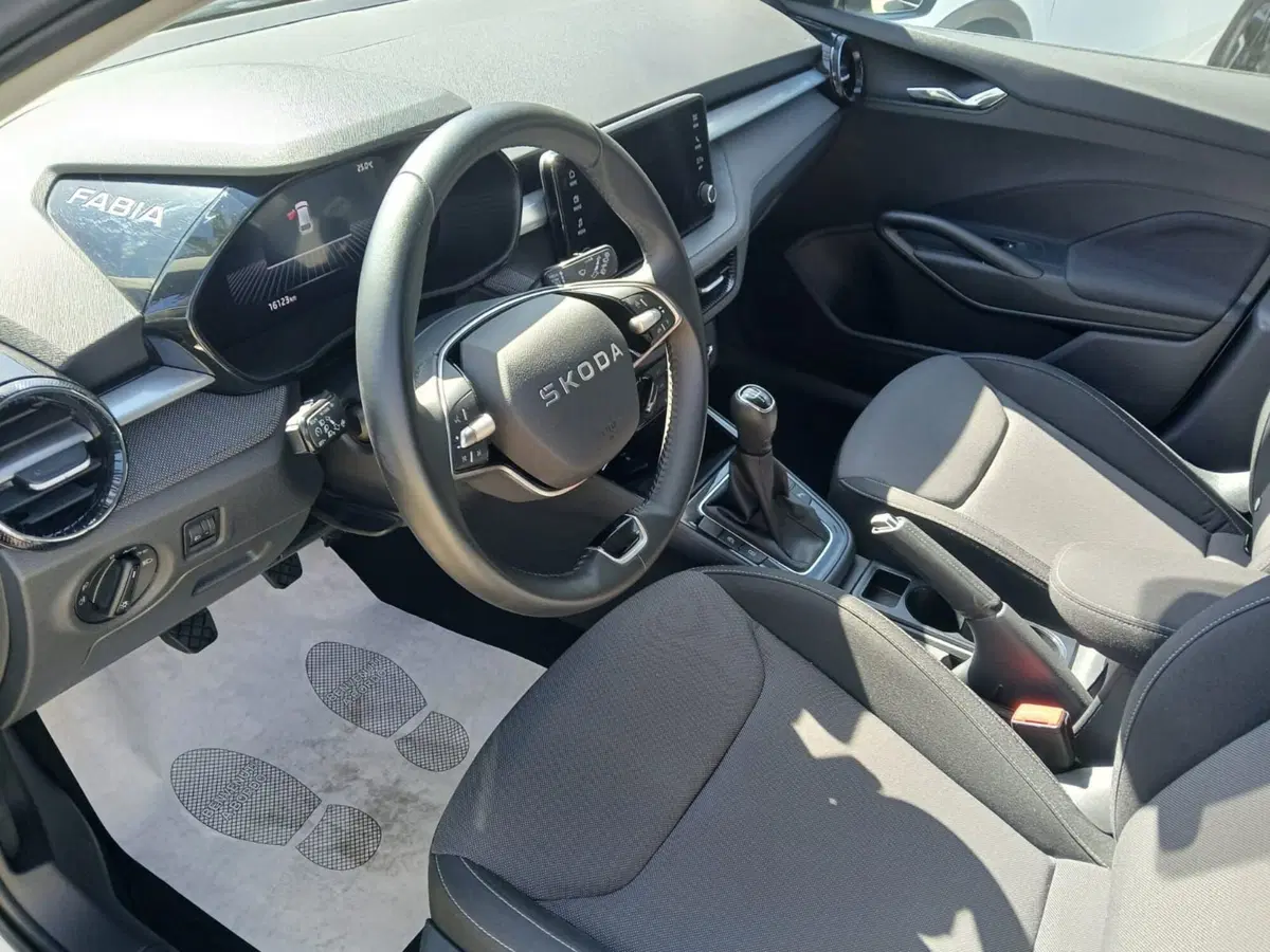 Skoda Fabia usata a Catanzaro (6)
