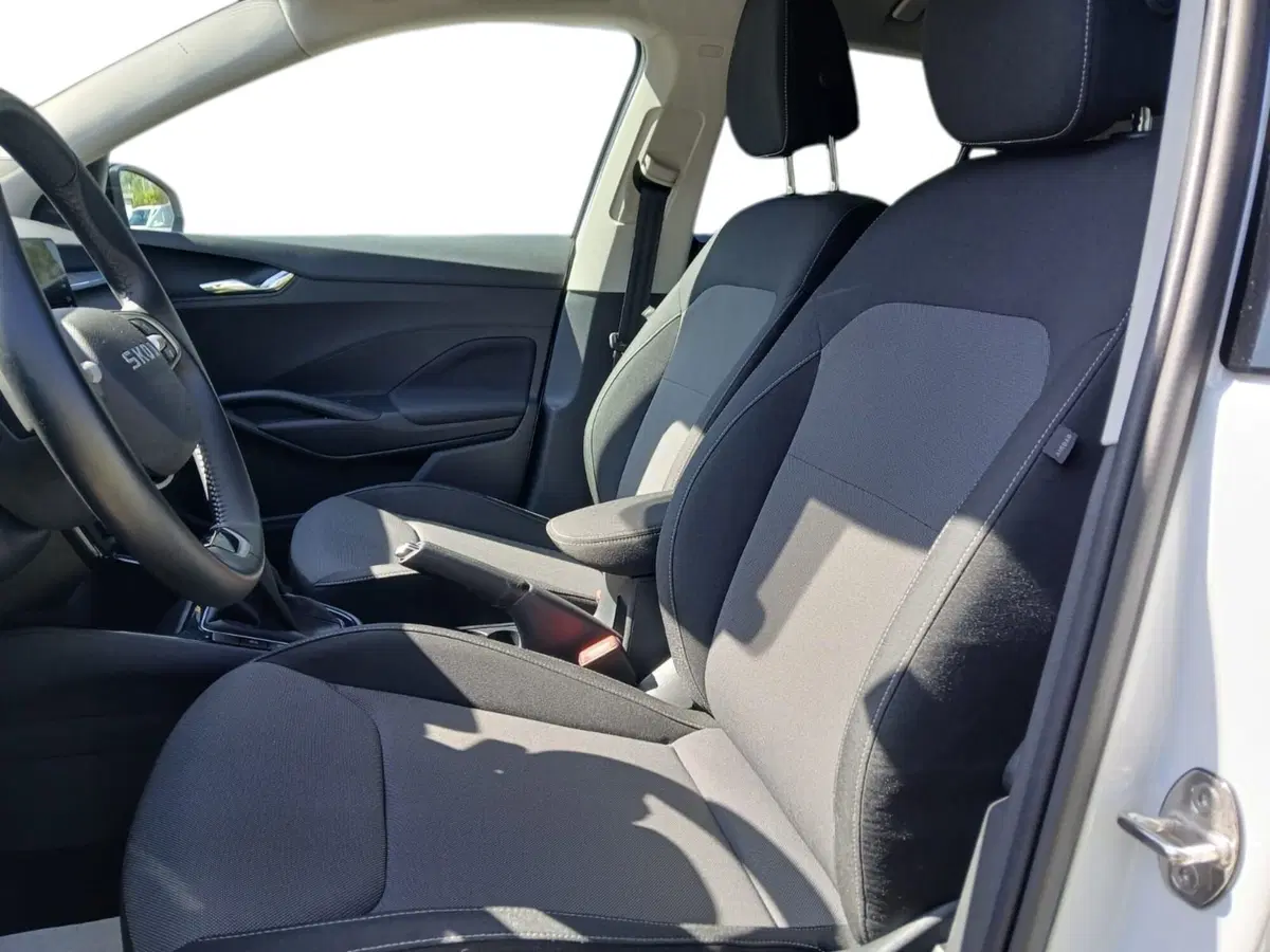 Skoda Fabia usata a Catanzaro (7)