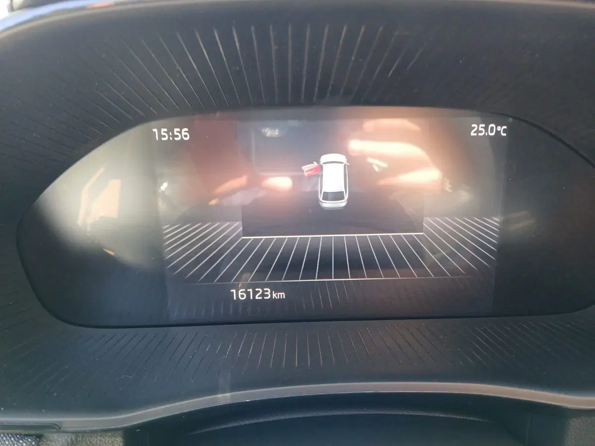 Skoda Fabia usata a Catanzaro (9)