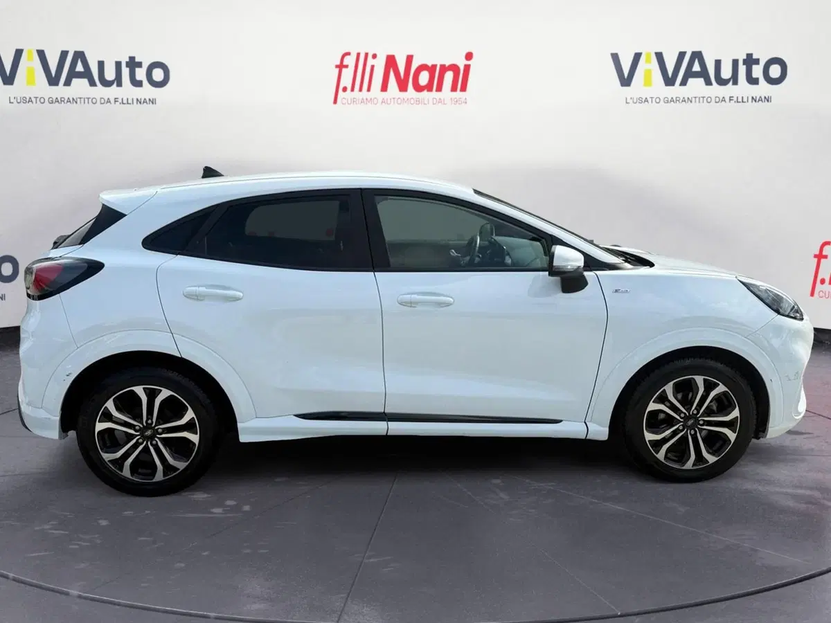 Ford Puma usata a Massa-Carrara (8)