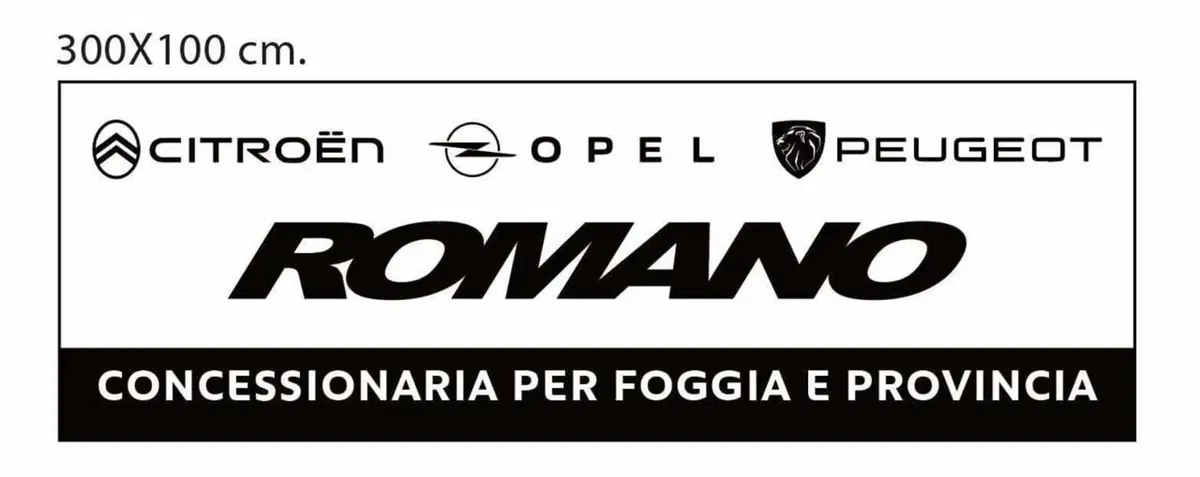Peugeot 2008 usata a Foggia (18)
