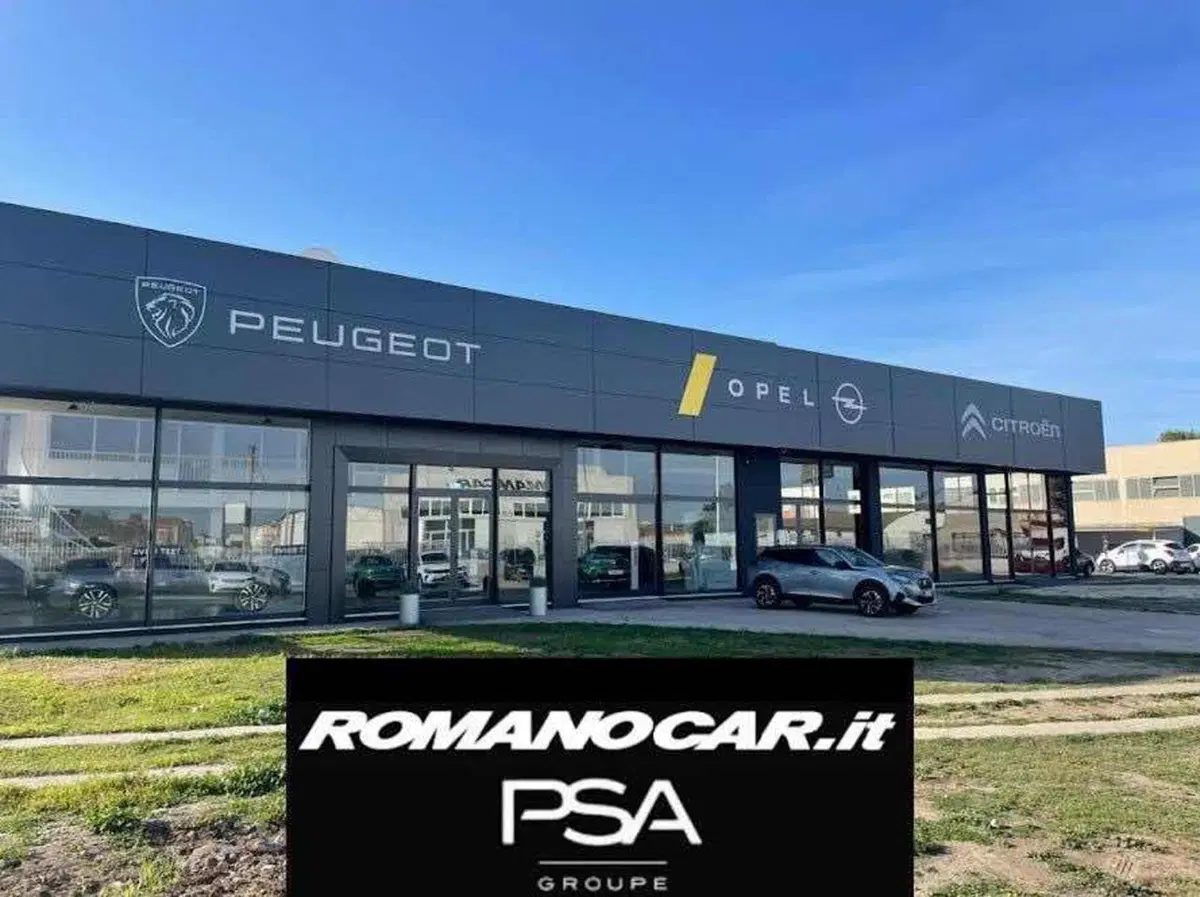 Peugeot 2008 usata a Foggia (19)