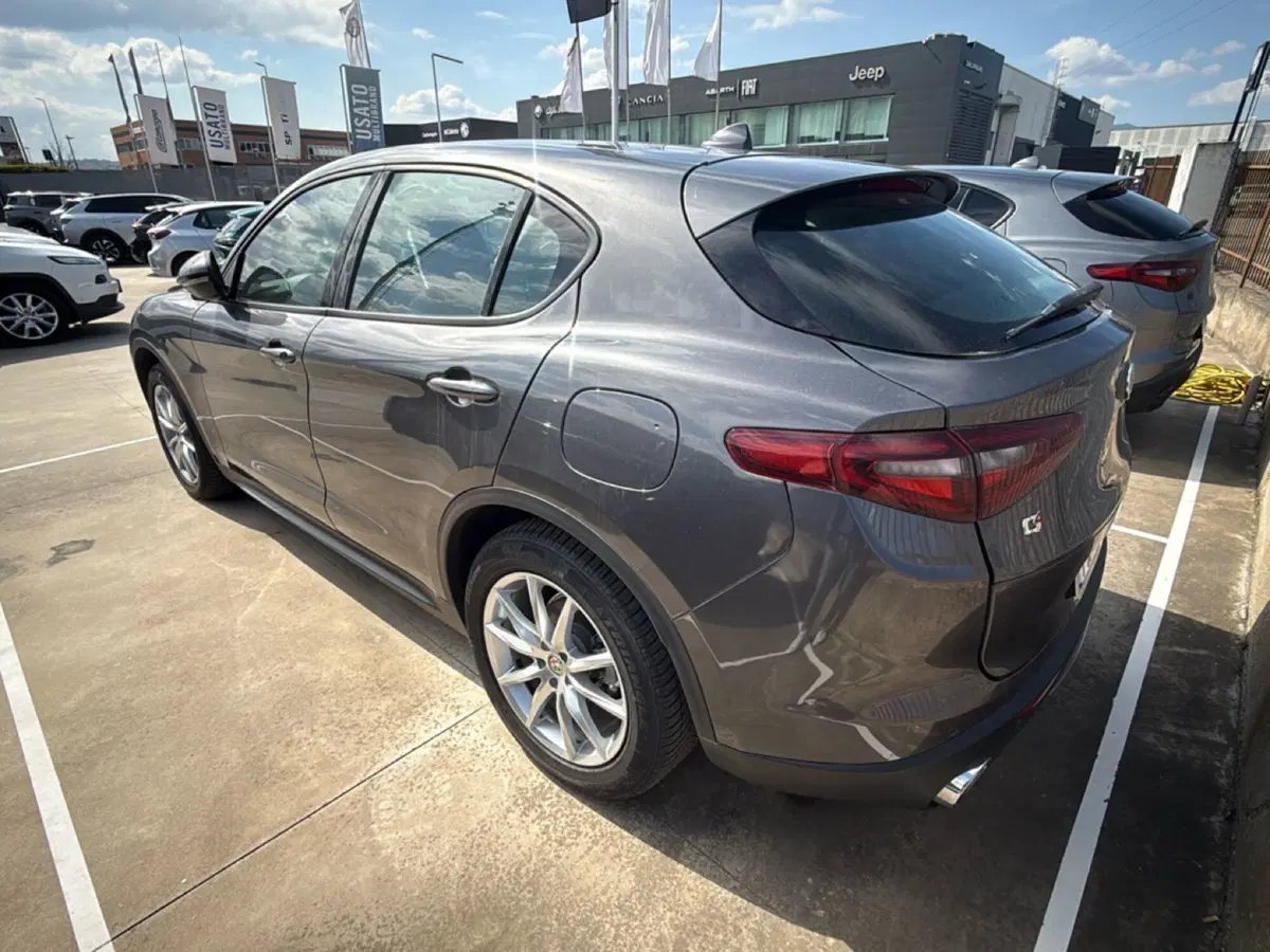 Alfa Romeo Stelvio usata a Cosenza (3)