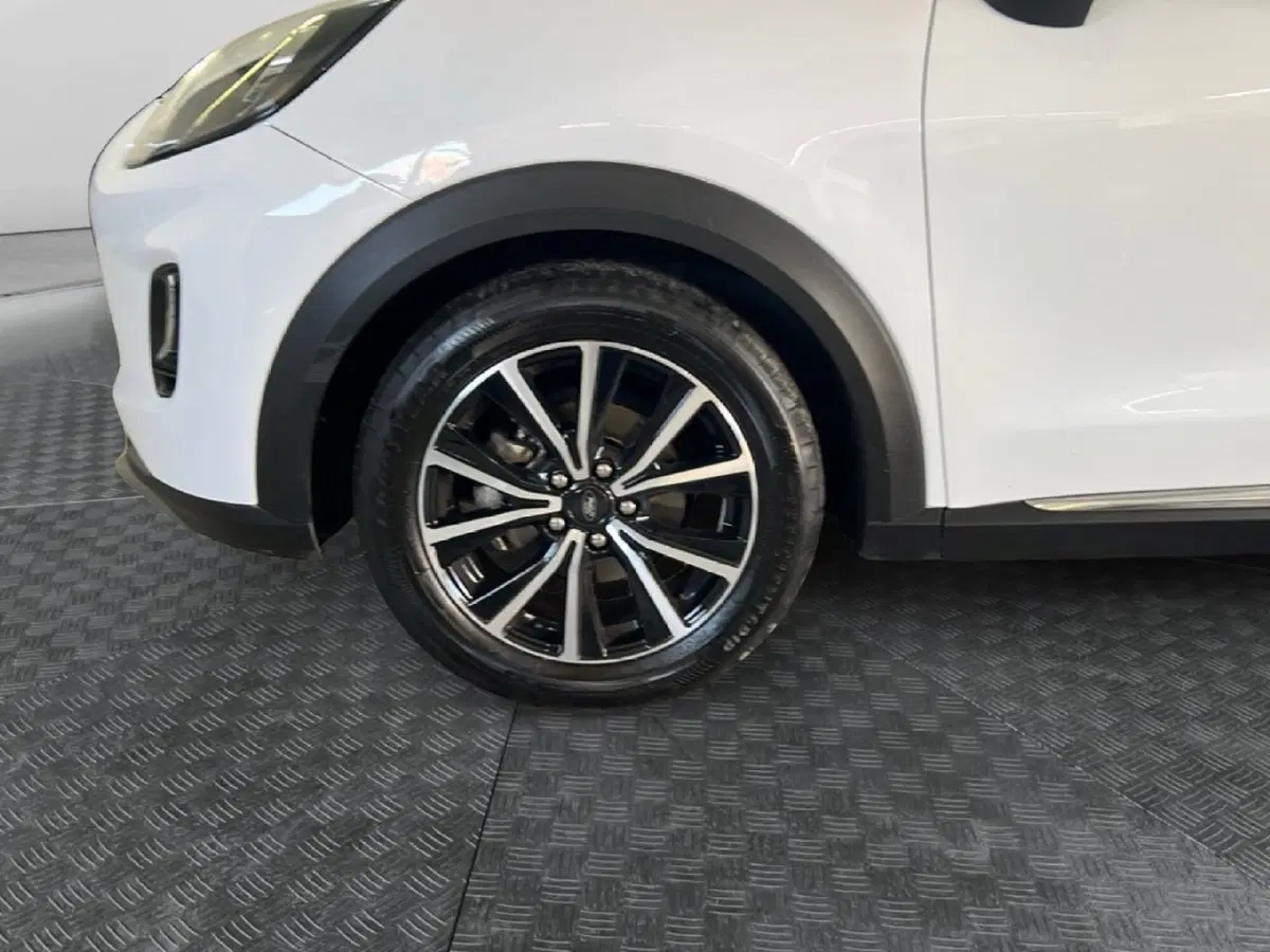 Ford Puma usata a Roma (9)