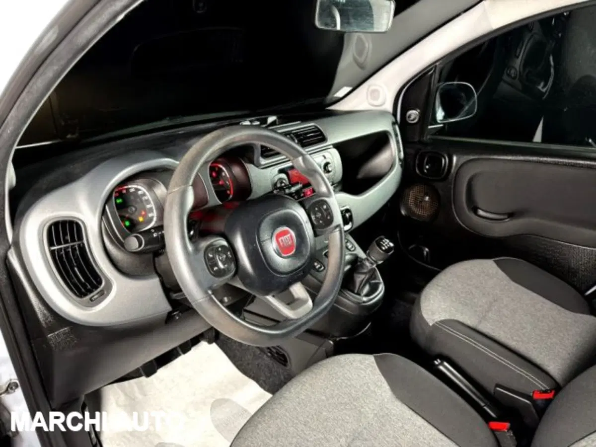 Fiat Panda usata a Perugia (14)